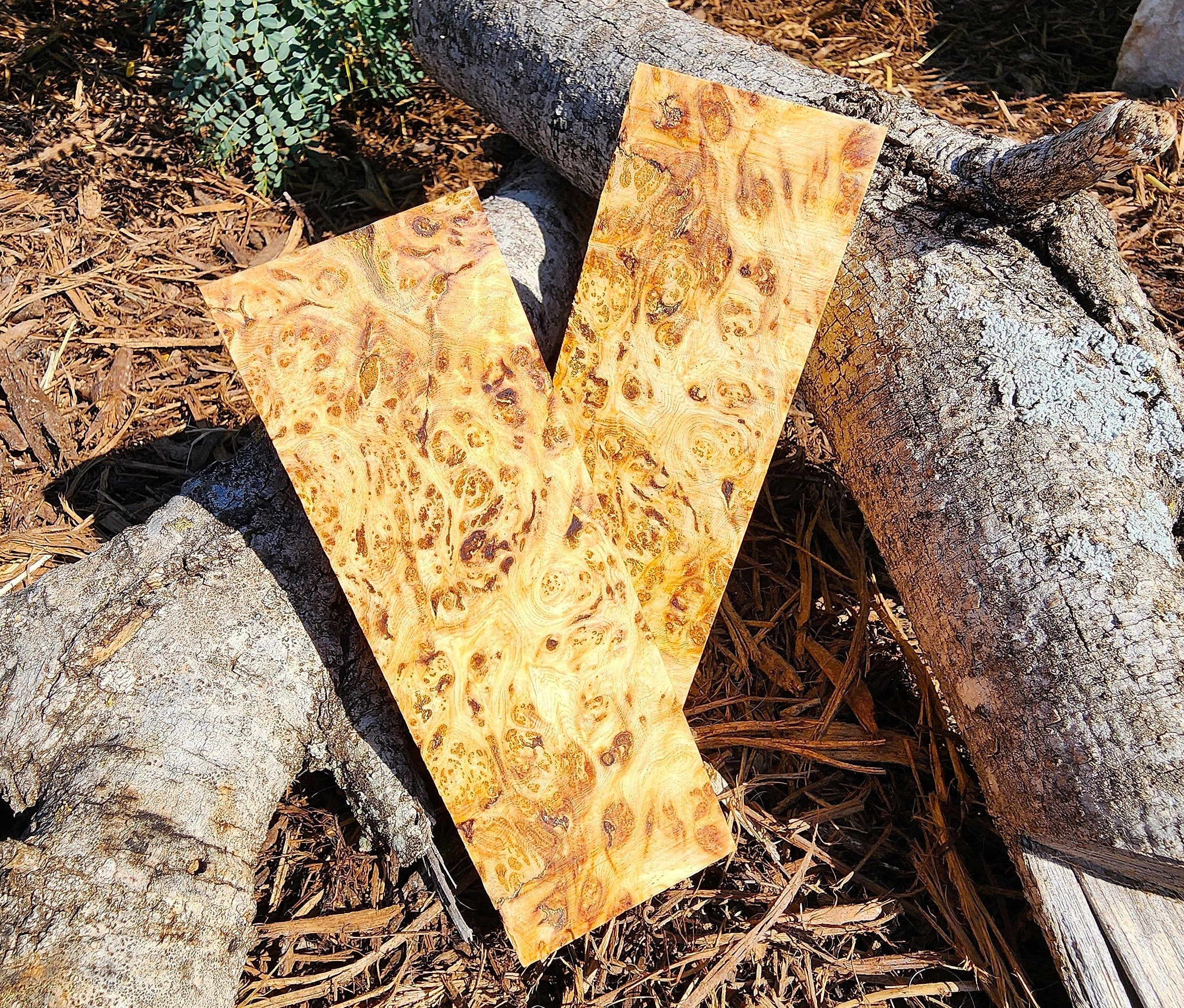 Translation missing: en.Raw Wood: Raw Wood