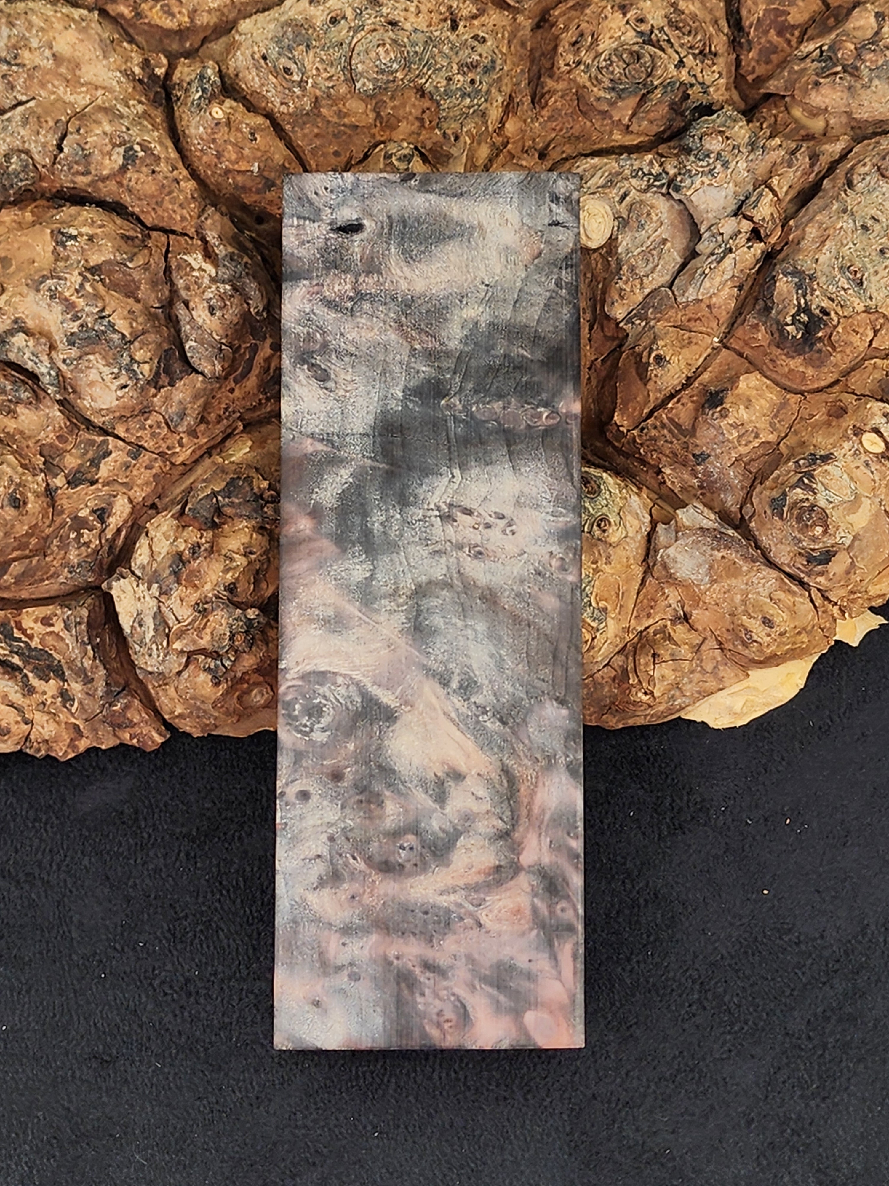 Buckeye Burl