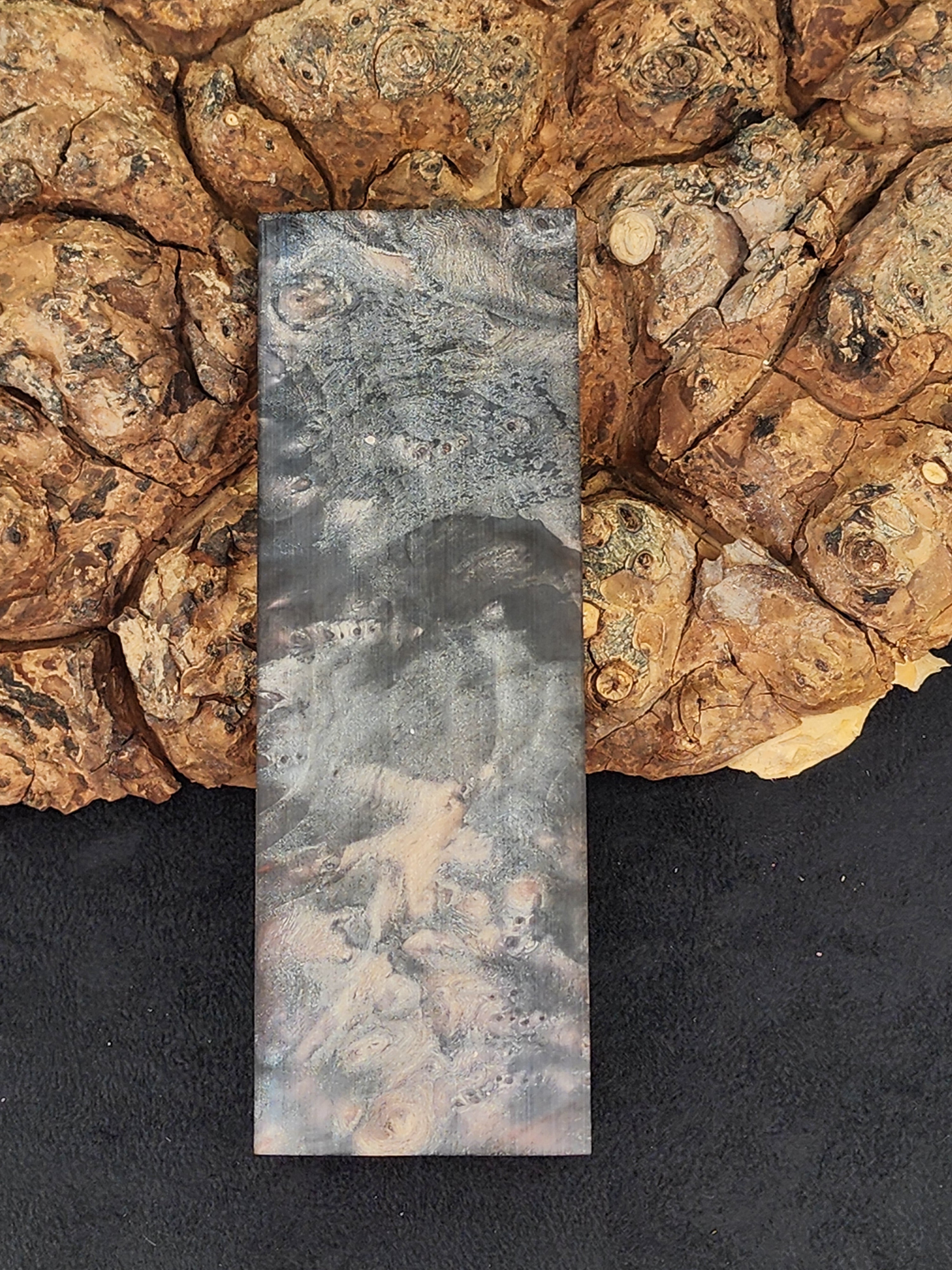 Buckeye Burl