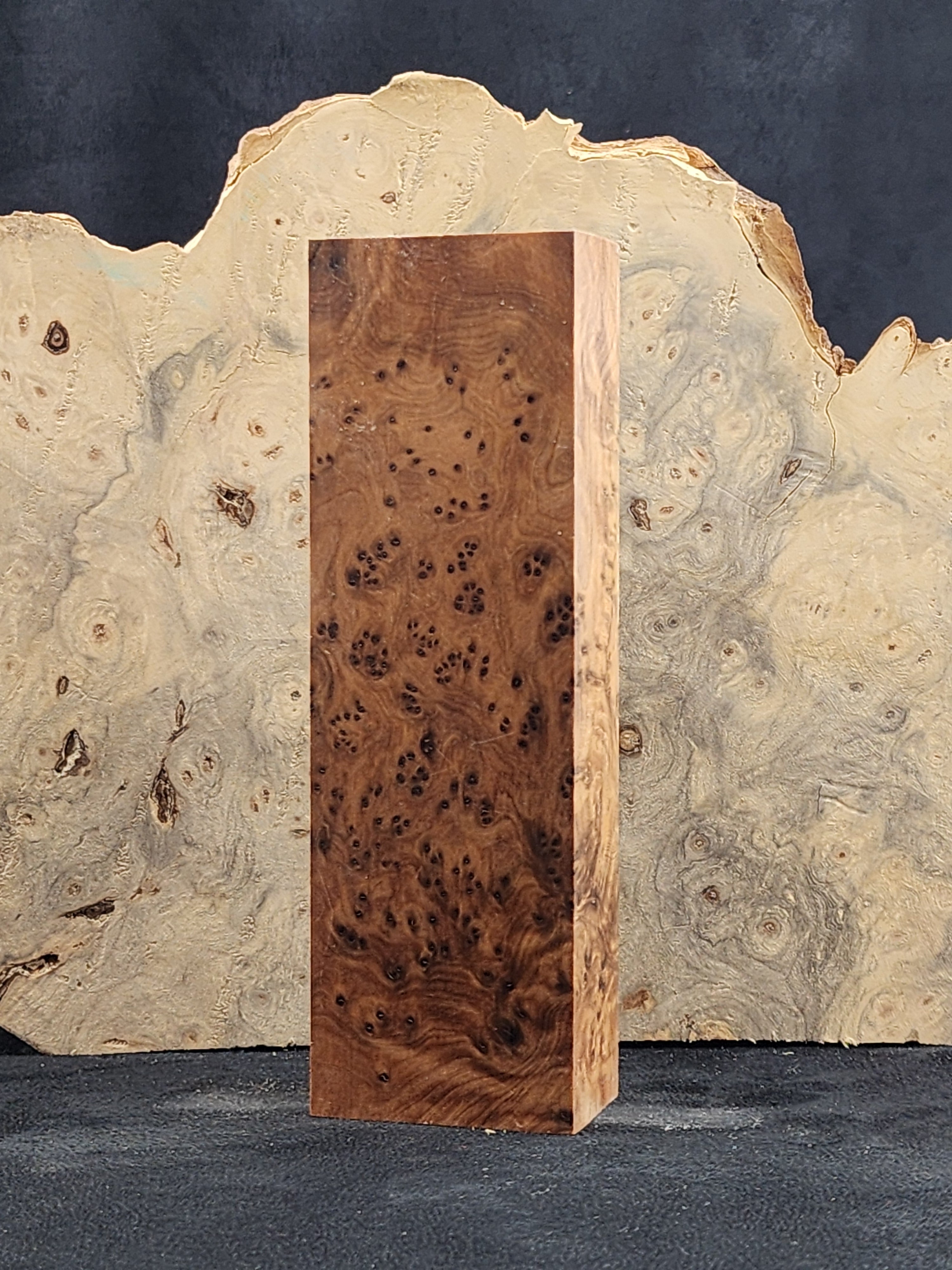 Thuya Burl