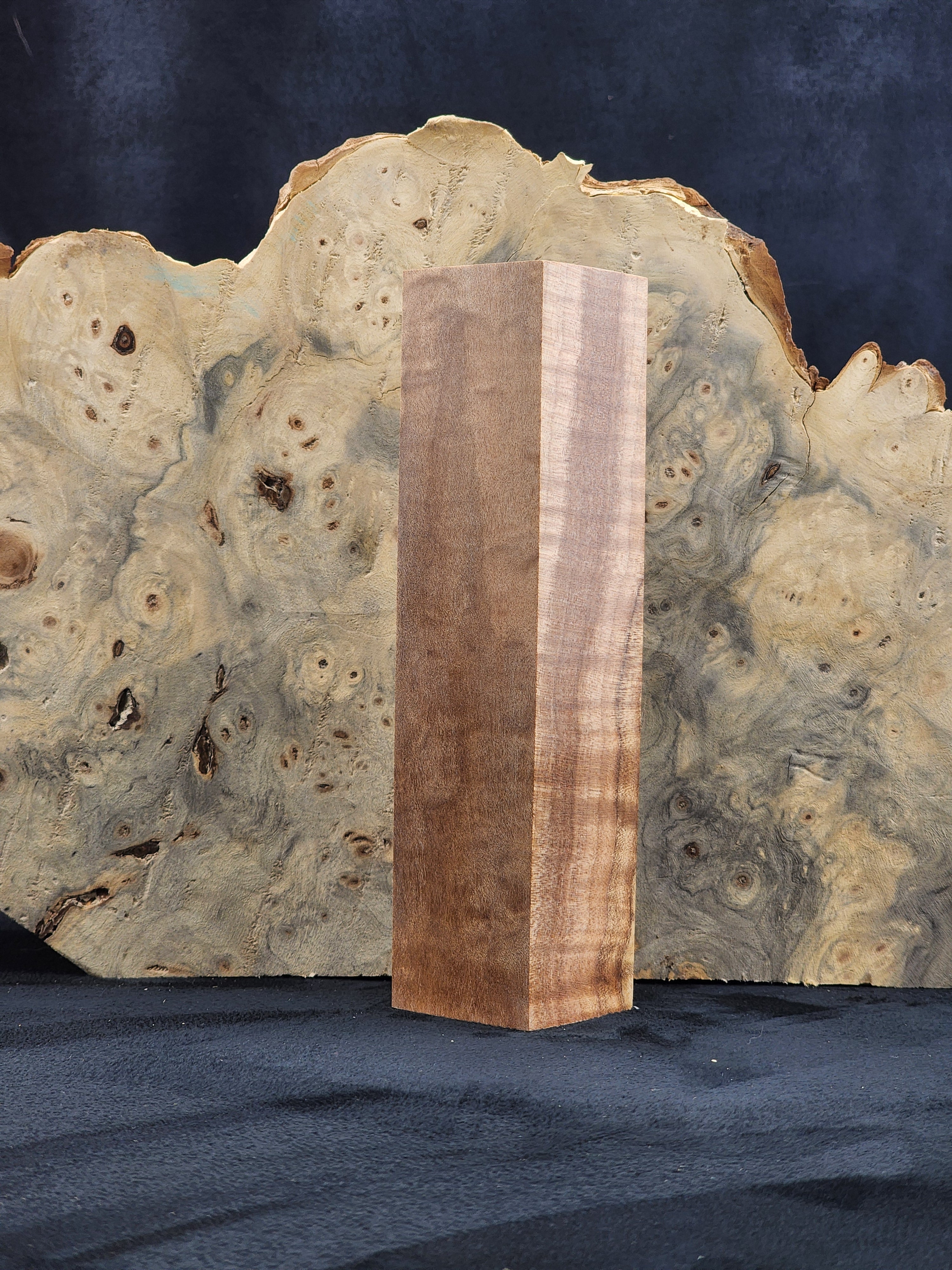 Curly Maple WA