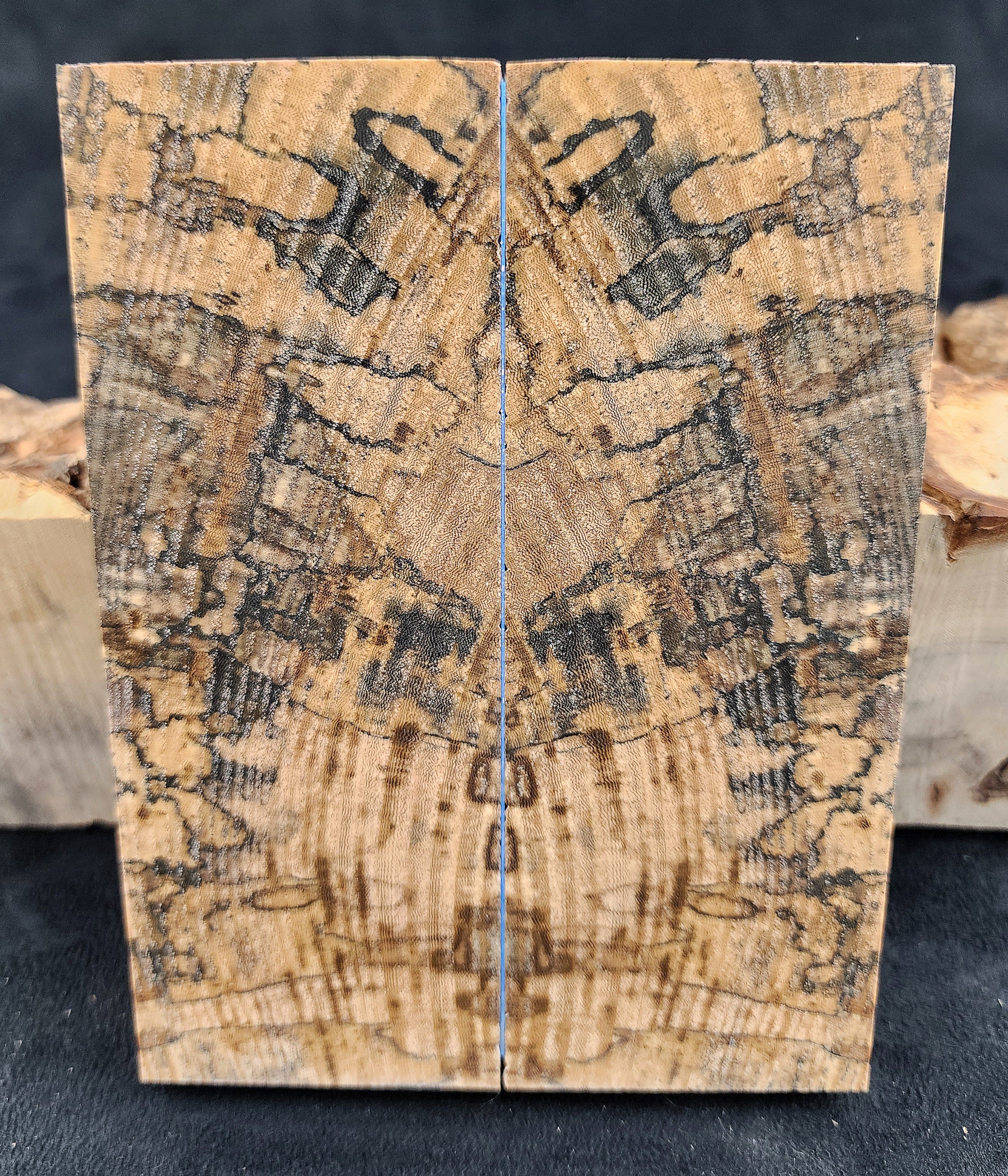 Spalted Hackberry