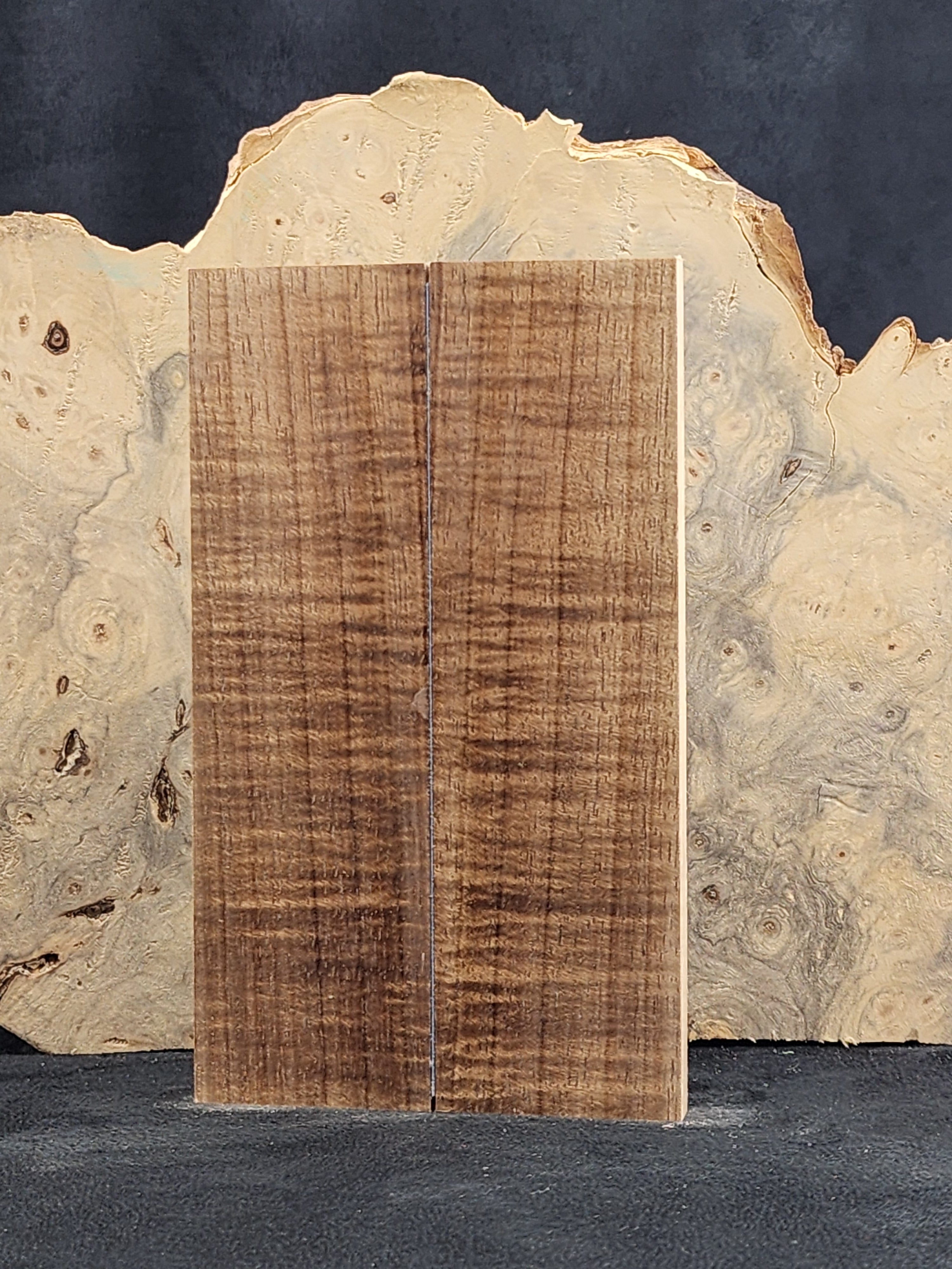 Tasmanian Blackwood