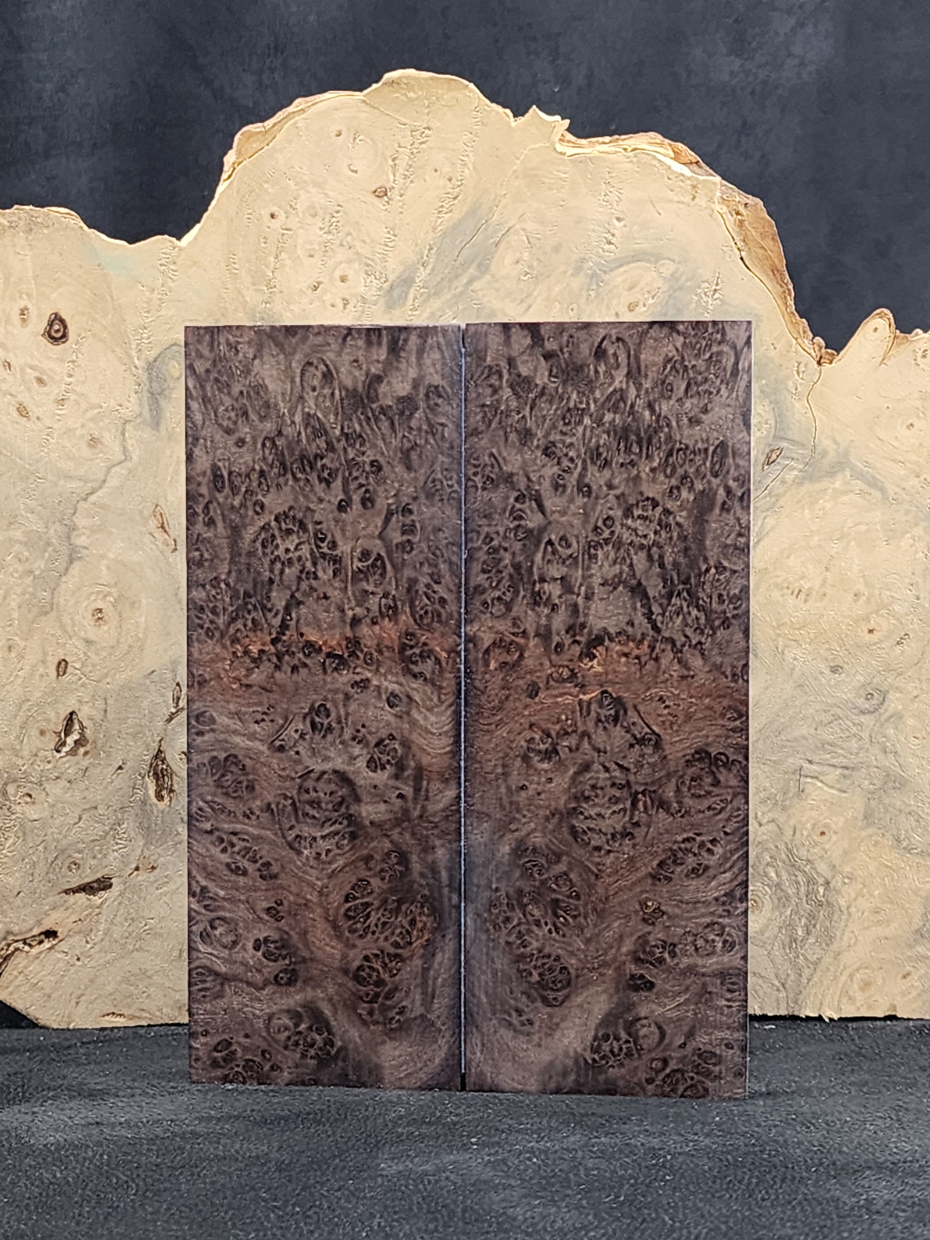 Box Elder