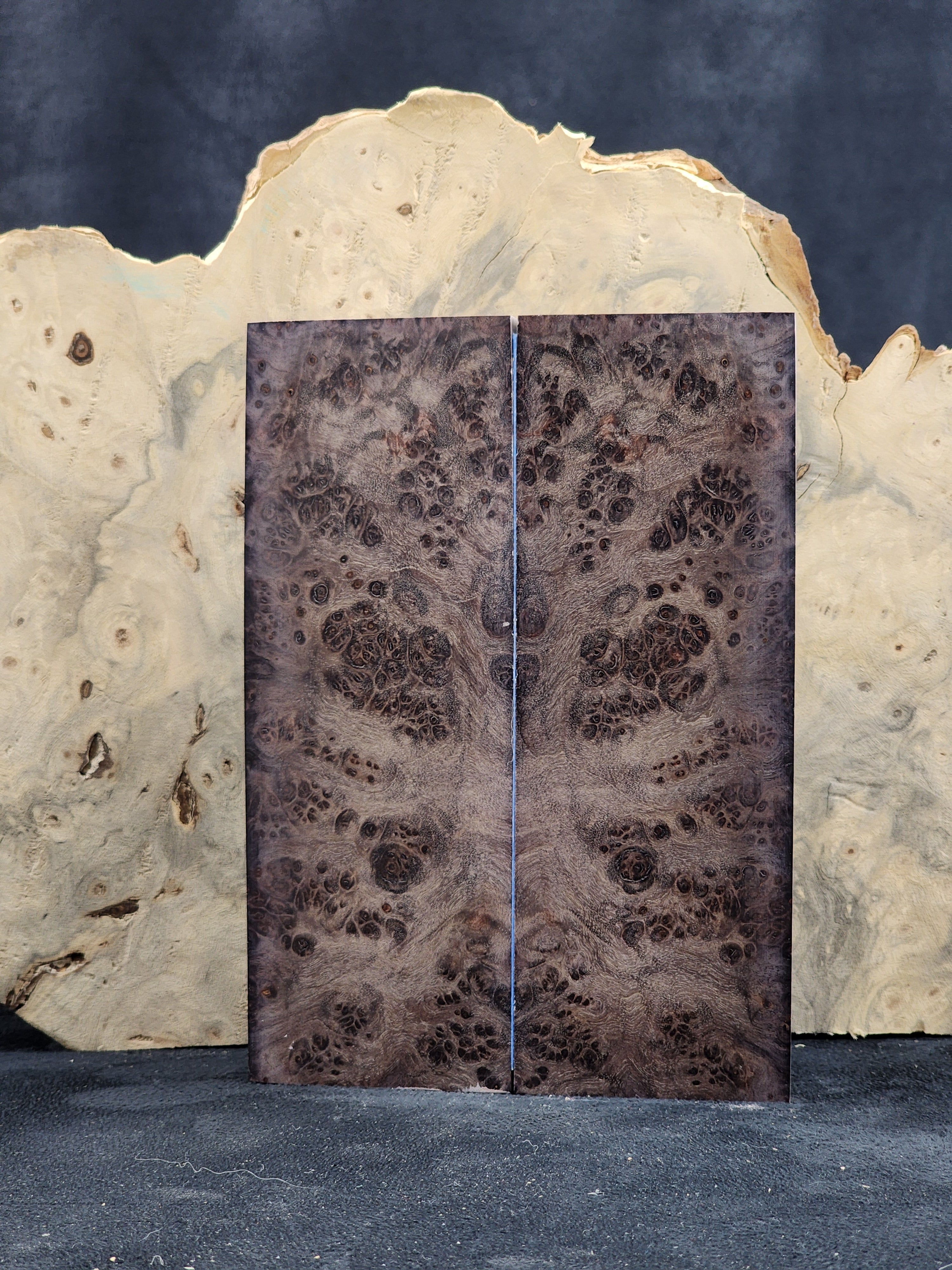 Box Elder