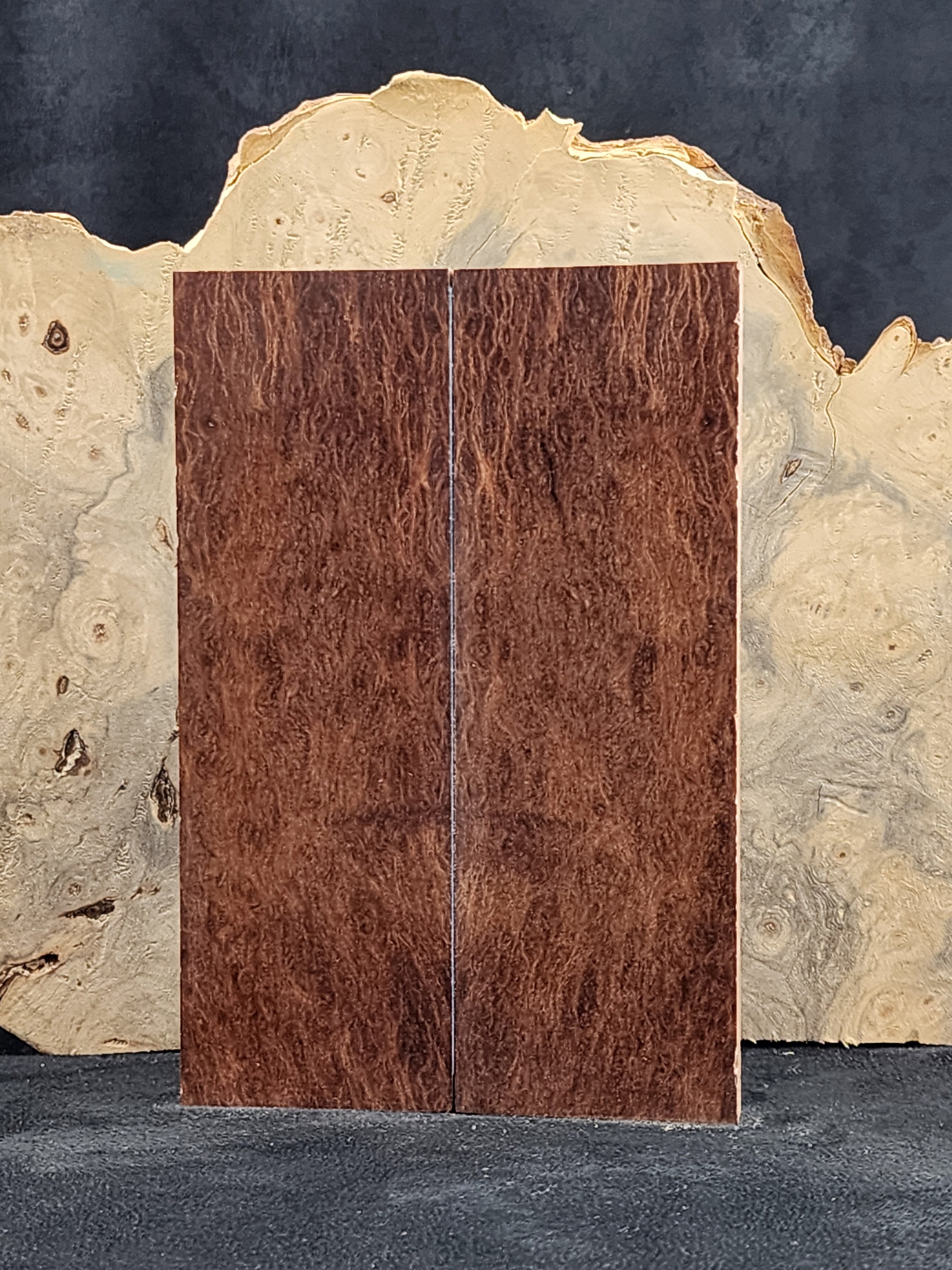 Sheoak